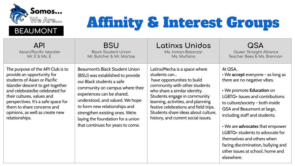 BMS Affinity Groups